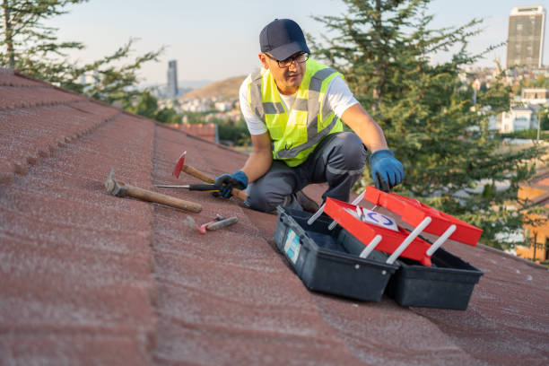 Best Storm Damage Siding Repair  in Basin, WY